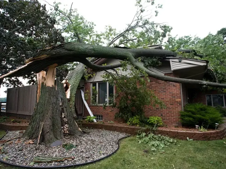 Large tree split onto a brick ranch house after a summer thunderstorm
